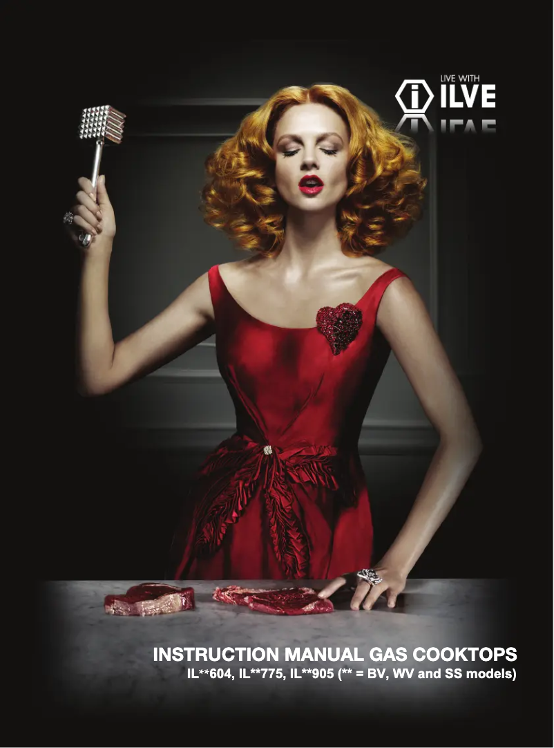 First page image of the manual for ILBV905