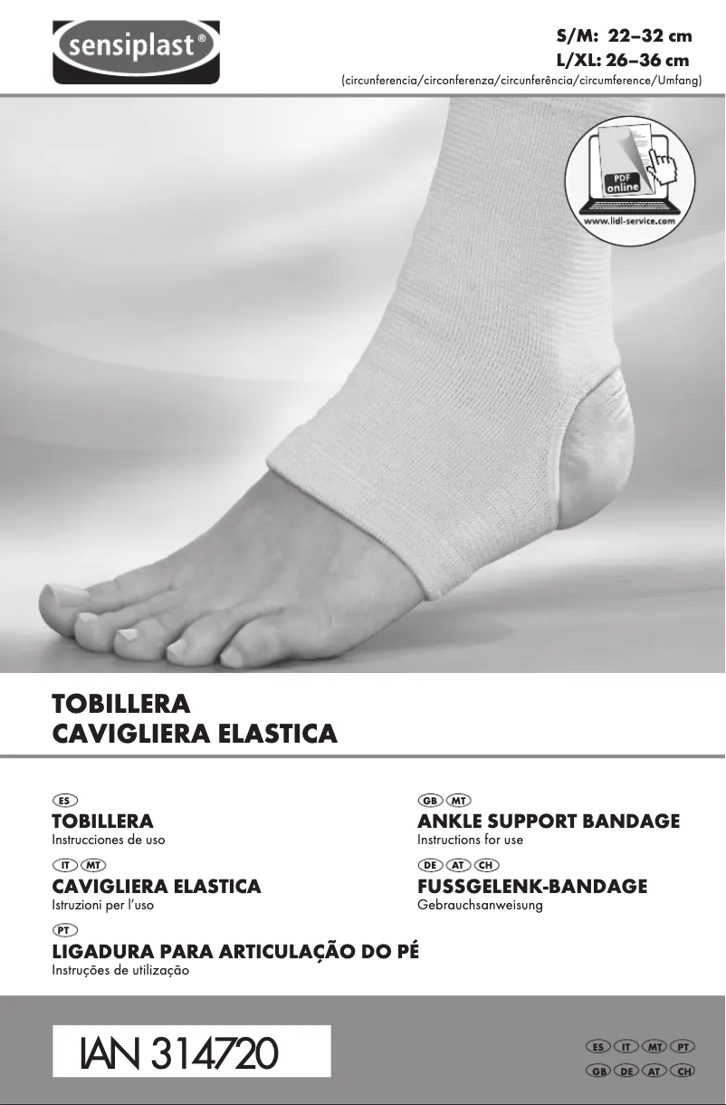 First page image of the manual for IAN 314720