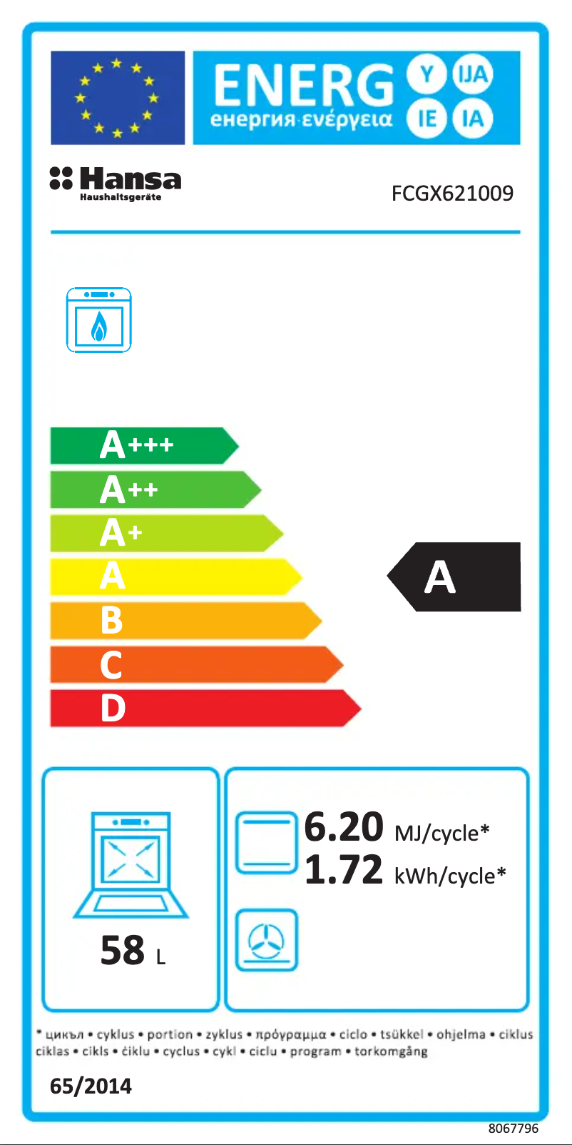 First page image of the manual for FCGX621009