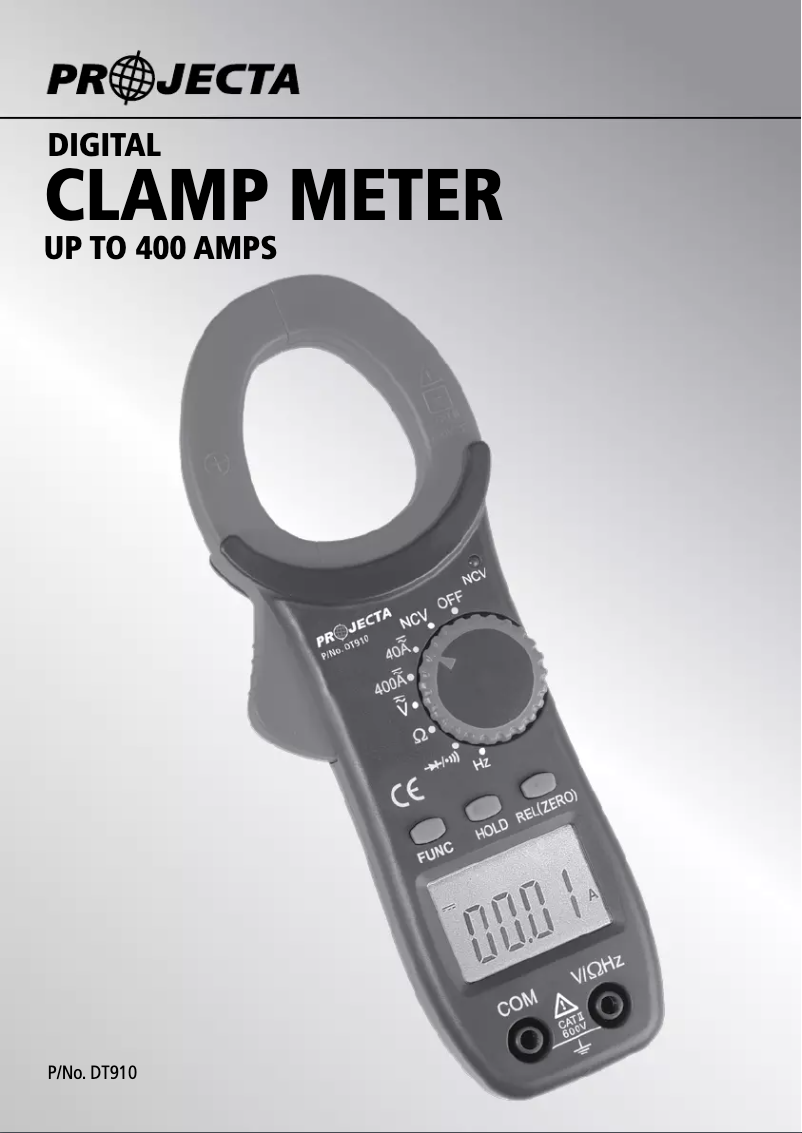 Page 1 of the manual User Manual Projecta DT910