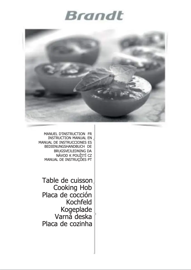 First page image of the manual for BPI6314B