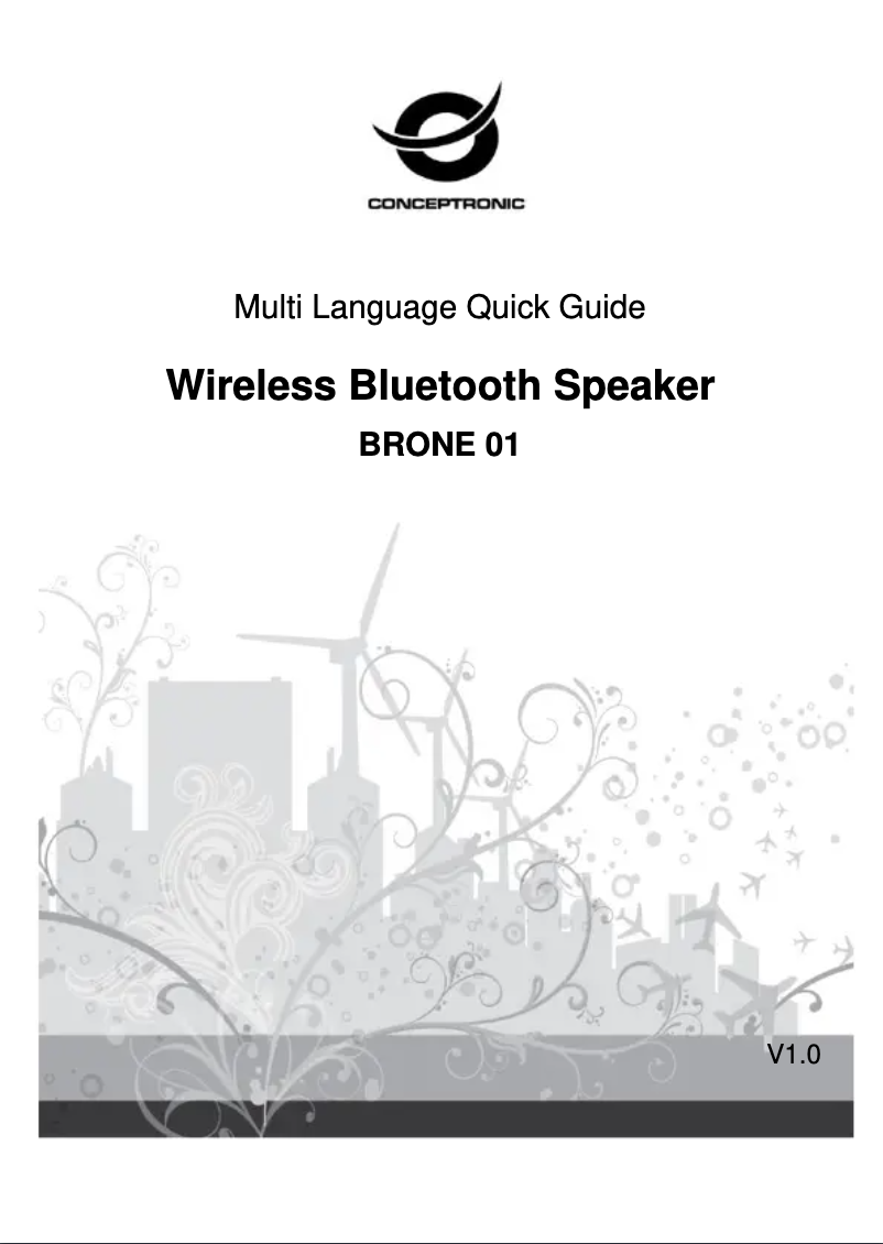 First page image of the manual for BRONE01B