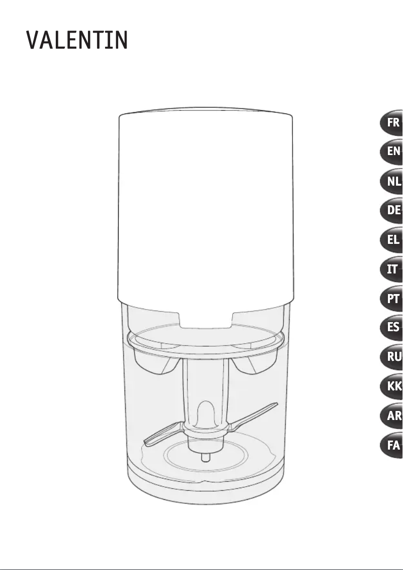 First page image of the manual for Valentin