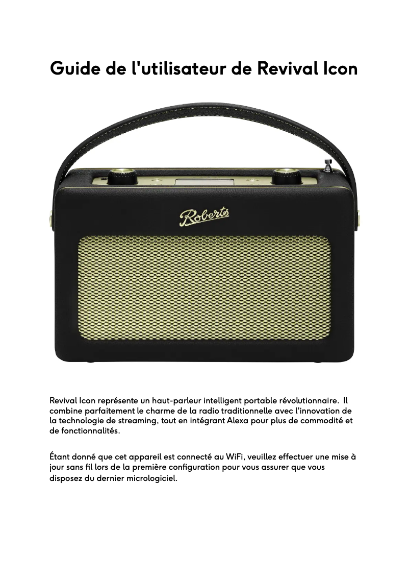 Page 1 of the manual User Manual Roberts Revival Icon