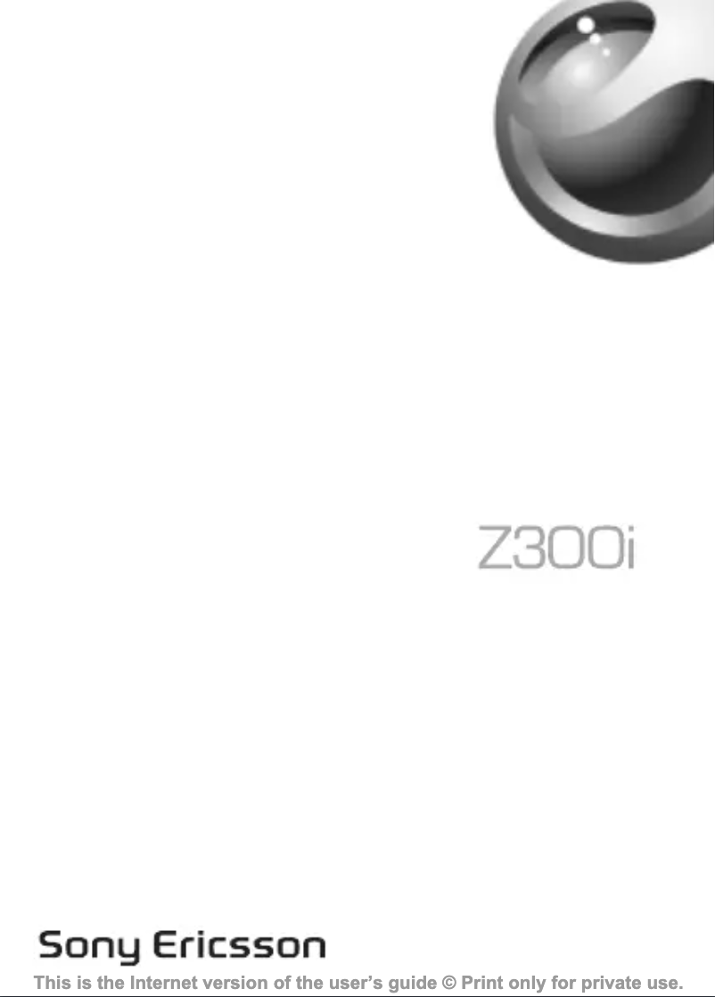 First page image of the manual for Z300i