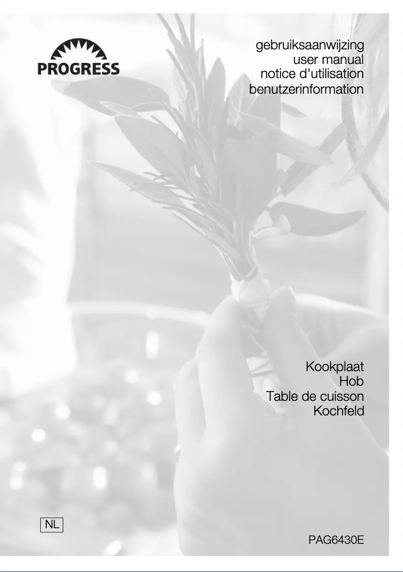 First page image of the manual for PAG6430E-N