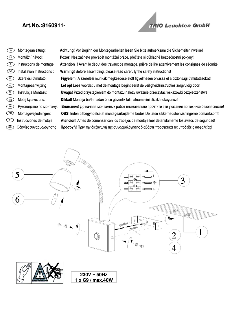 First page image of the manual for Marlon 8160911-07
