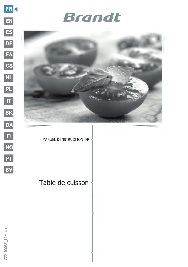 Page 1 of the manual User Manual Brandt BPI163DUB