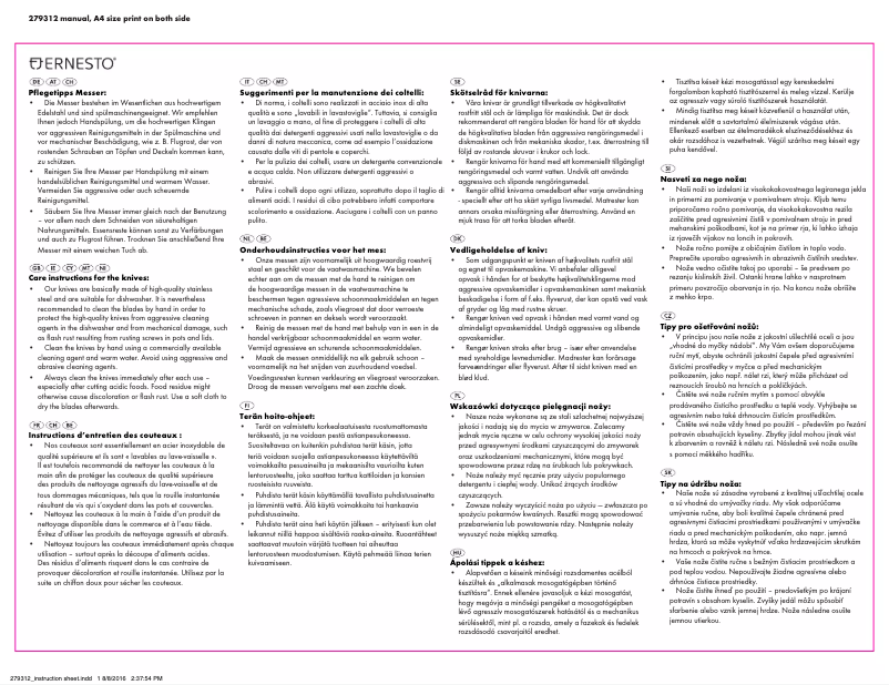 Page 1 of the manual User Manual Ernesto IAN 279312
