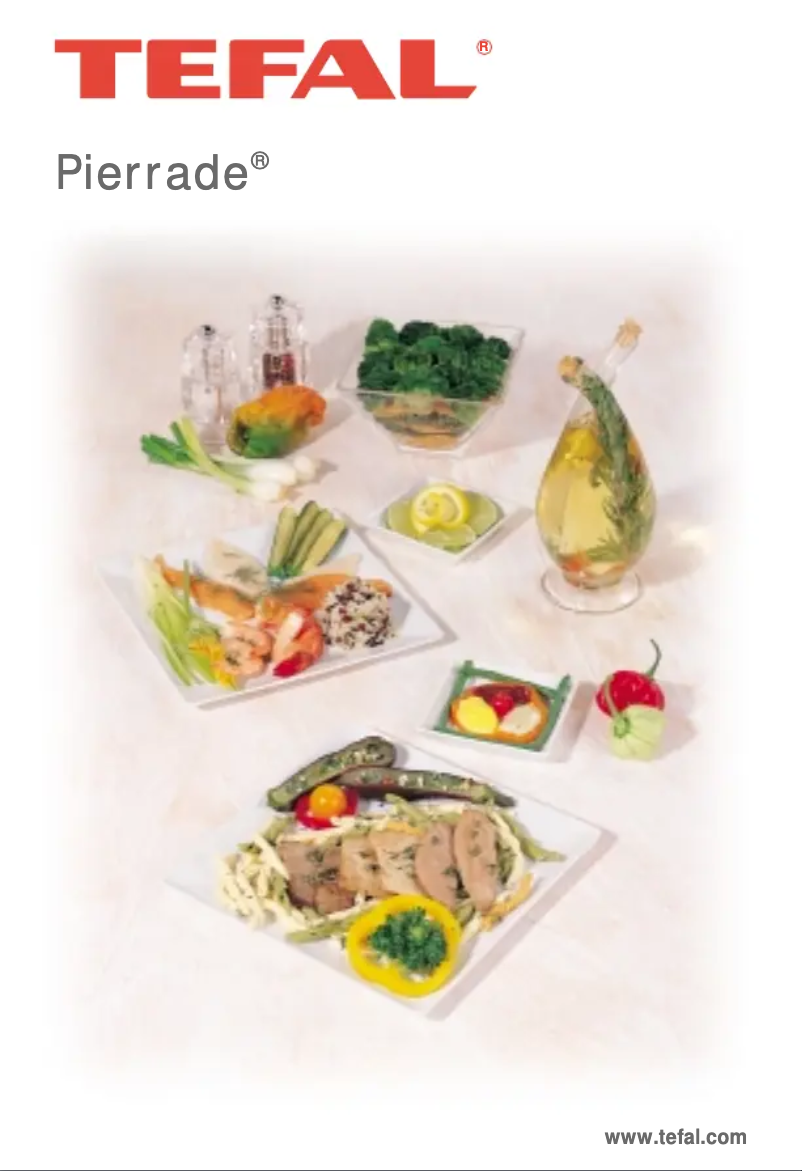 Page 1 of the manual User Manual Tefal Pierrade Compact