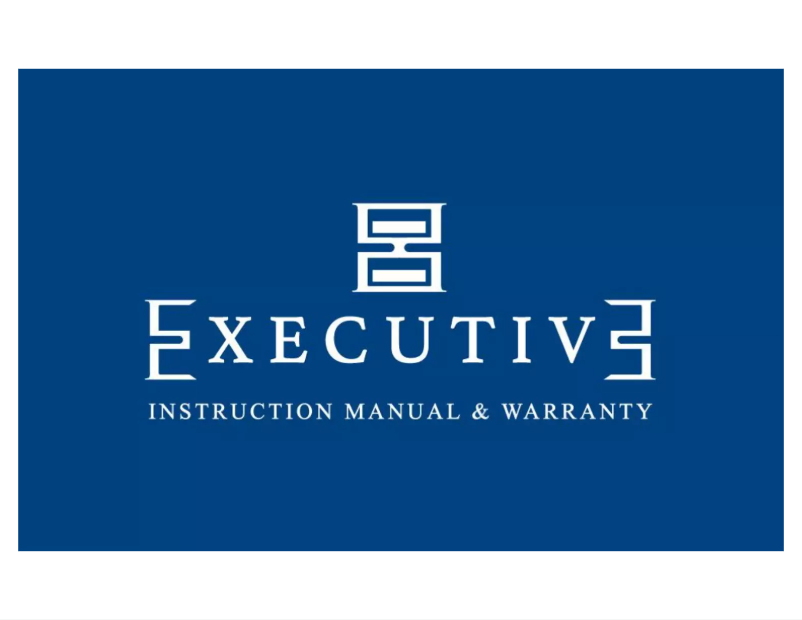 Page 1 of the manual User Manual Executive Tie Pin