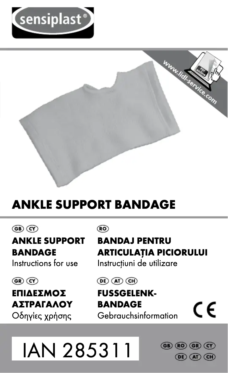 First page image of the manual for IAN 285311