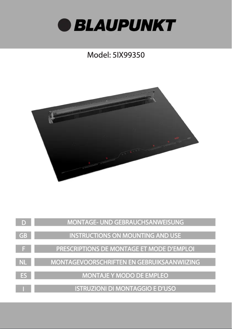 Page 1 of the manual User Manual Blaupunkt 5IX99350