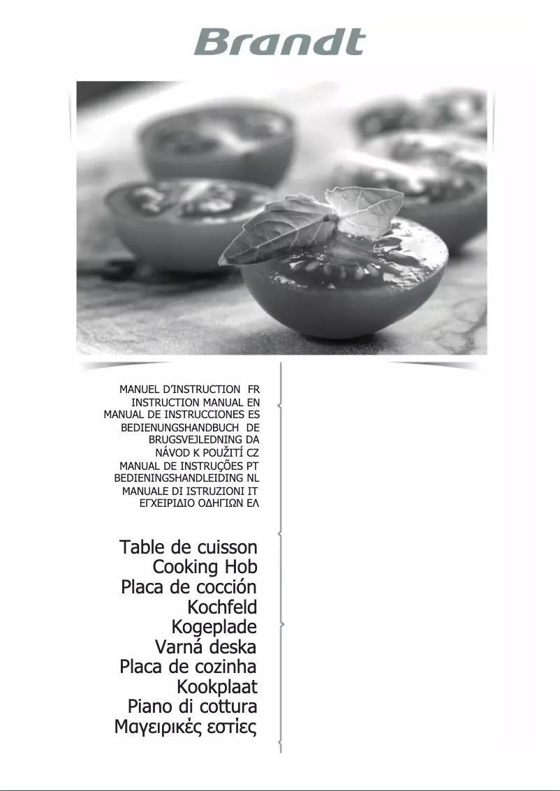 Page 1 of the manual User Manual Brandt BPI6428UB