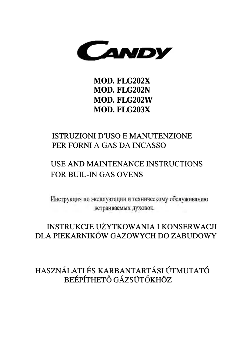 Page 1 of the manual User Manual Candy FLG 202 X