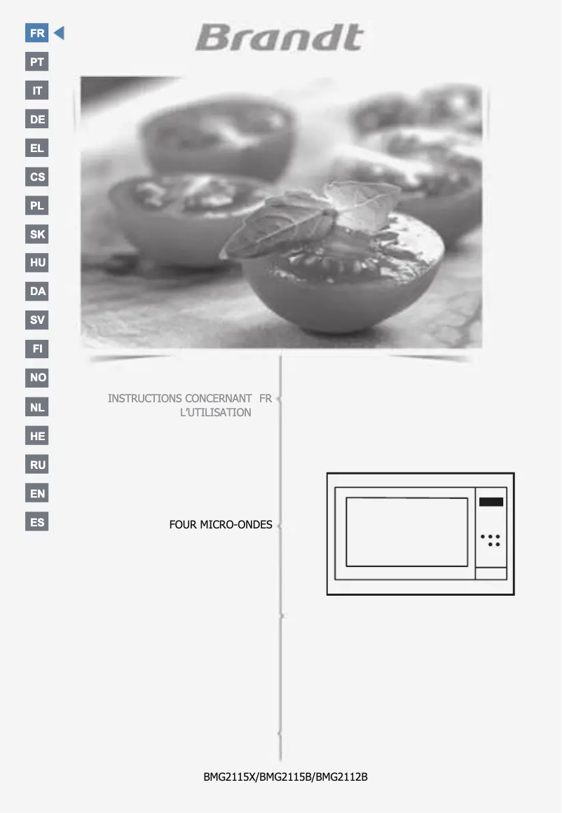 First page image of the manual for BMG2115B