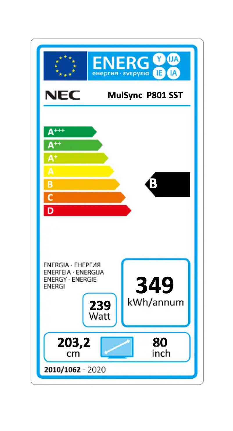 First page image of the manual for MultiSync P801 SST