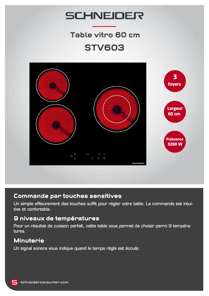 First page image of the manual for STV603